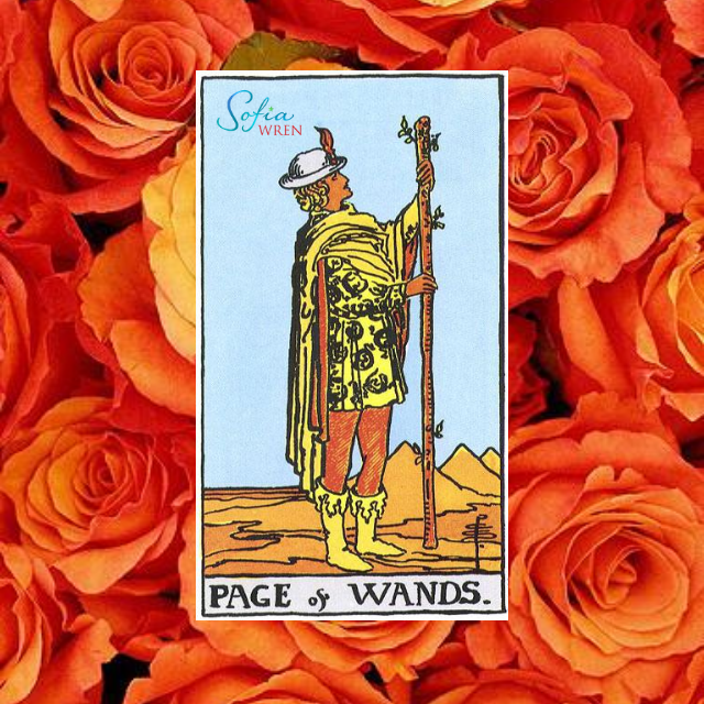 A man holds a wooden staff. He is wearing a yellow shirt and boots, with a grey hat with a red feather. There are desert hills behind him. It says Page of Wands behind. Behind the Tarot card in the image is a collection of orange roses.